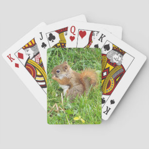 Playing Cards, Red Squirrel Theme Cards