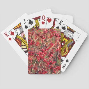 Playing Cards with Berries and Jumbo Index
