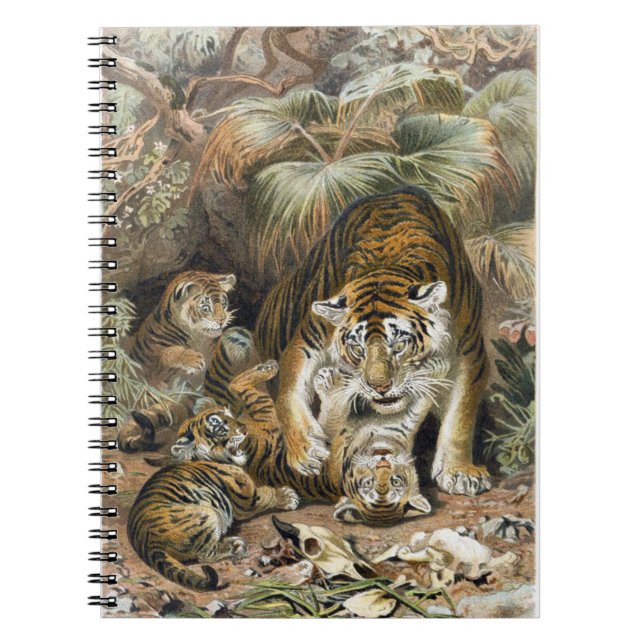 Playing Cub Note Book (Front)