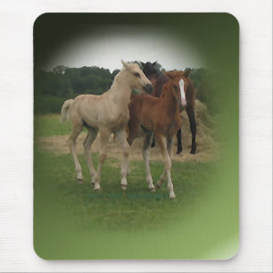 Playing Foals Crosstitched Mouse Pad
