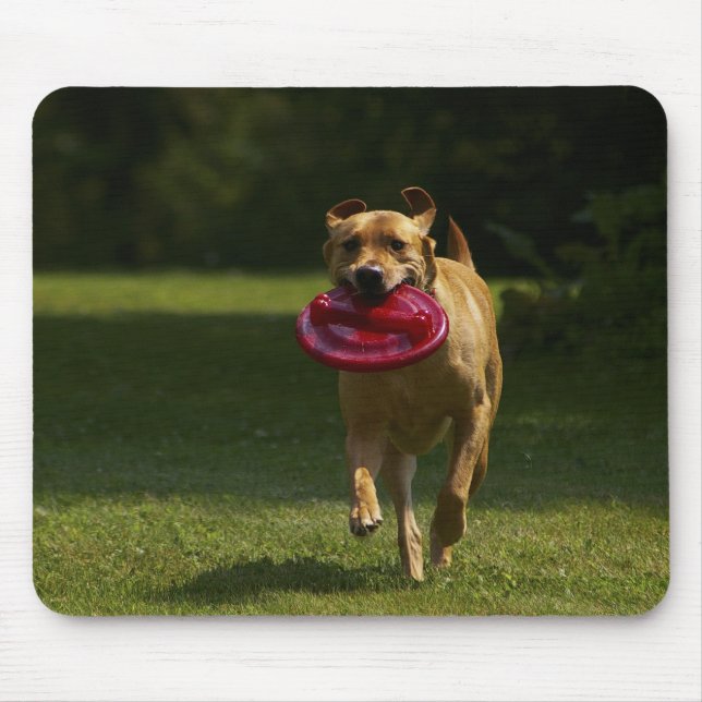 Playing Frisbee Mouse Pad (Front)