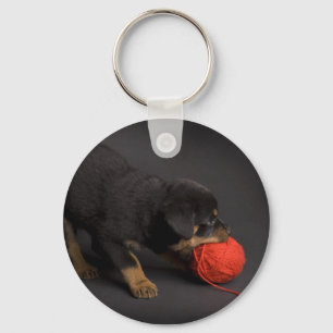 Playing Puppy 1 Key Ring