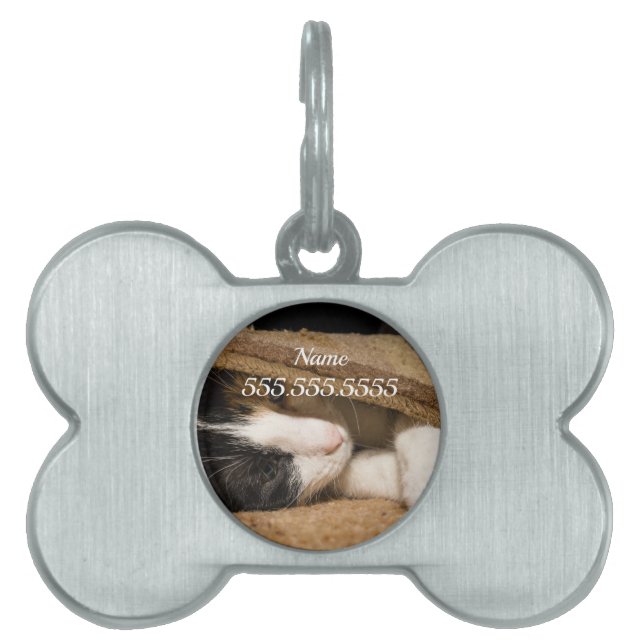 Playing Under The Rug Pet ID Tag (Front)
