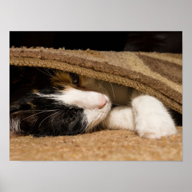 Playing Under The Rug Poster (Front)
