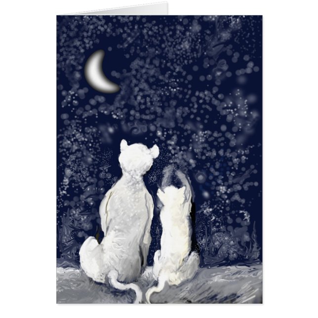 "Playing with Stars" (Front)