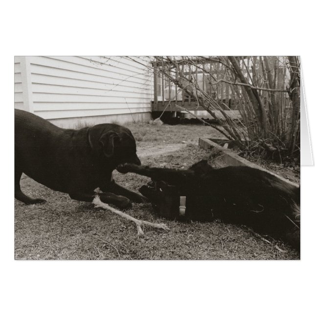 Playmates (Front Horizontal)