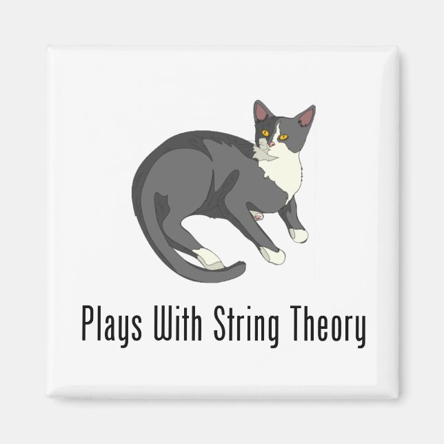 Plays With String Theory Magnet (Front)