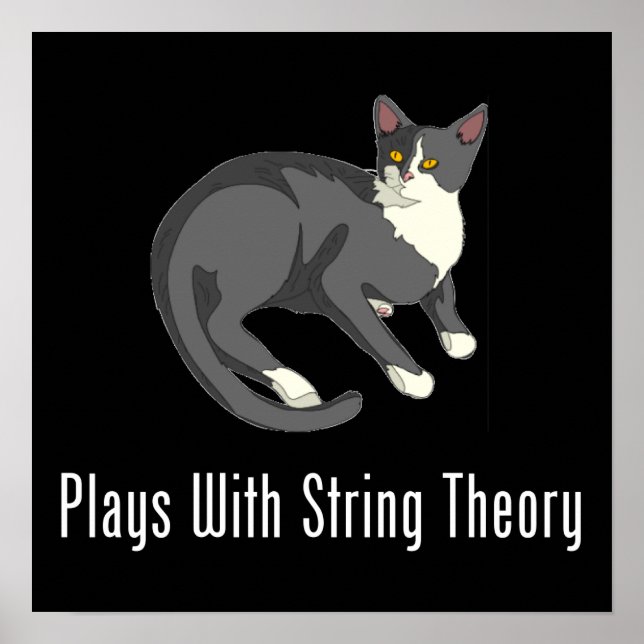 Plays With String Theory Poster (Front)