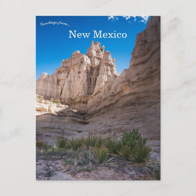 Plaza Blanca New Mexico Postcard (Front)