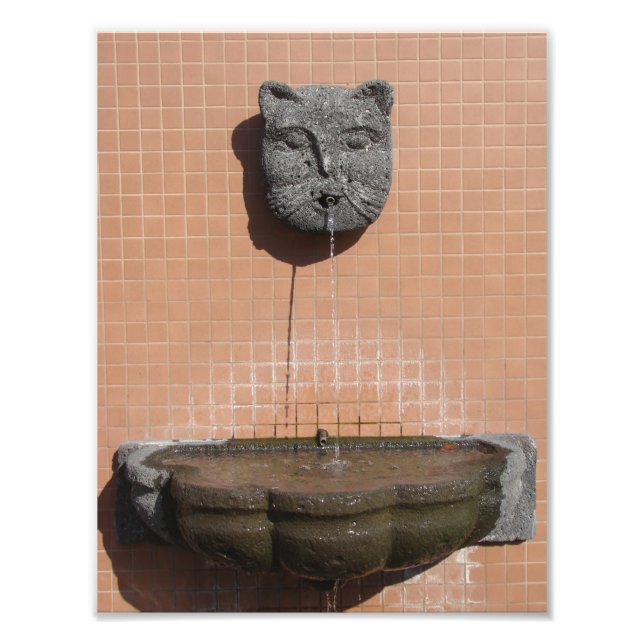 Plaza Cat Fountain Photo Print (Front)