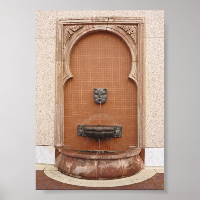 Plaza Cat Fountain Poster (Front)