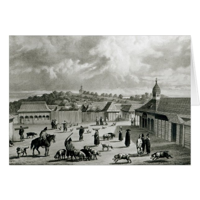 Plaza de San-Carlos de Chiloe, 1835  ] (Front Horizontal)