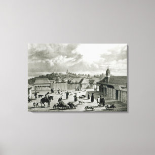 Plaza de San-Carlos de Chiloe, 1835  ] Canvas Print