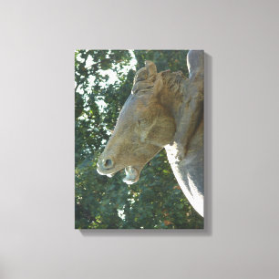 Plaza Horse Canvas Print