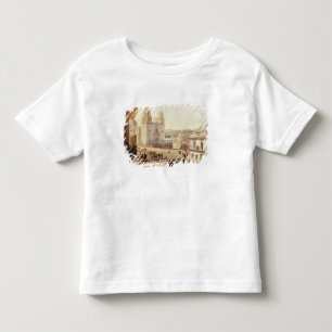 Plaza Mayor de Guonajuato Toddler T-Shirt