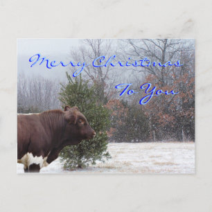 PLB Merry Christmas-customise Holiday Postcard