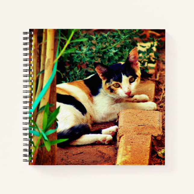 Pleasant Cat Notebook (Front)