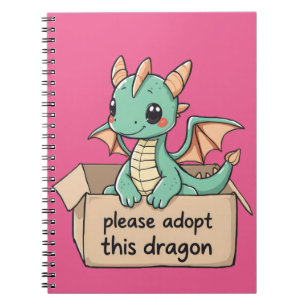 Please adopt this kite notebook