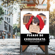 Please Be Considerate About Fireworks Dogs Safety