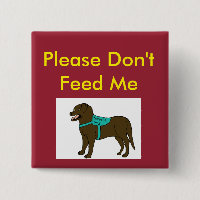 Please Dont Feed Me SD