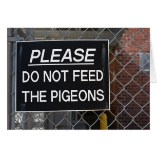 Please Don't Feed the Pigeons New York City NYC