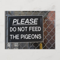 Please Don't Feed the Pigeons New York City NYC