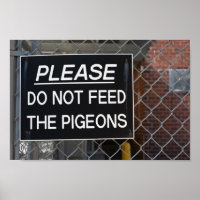 Please Don't Feed the Pigeons New York City NYC