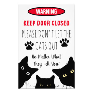 Please Don't Let The Cats Out  Funny Cat Photo Print