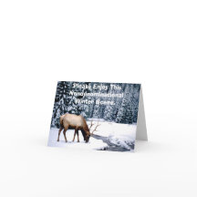 Please Enjoy This Nondenominational Winter Scene.
