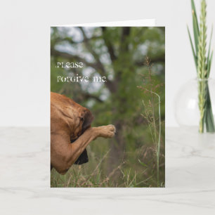 Please forgive me card