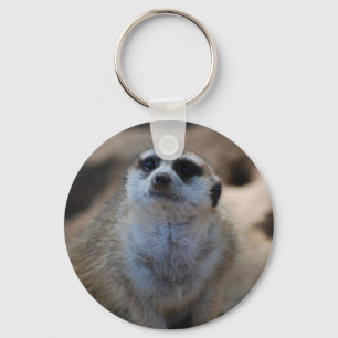 Please? Key Ring