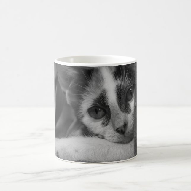 Please Kitty Coffee Mug (Center)