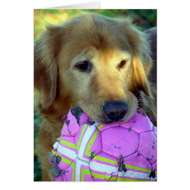 Please Play With Me (Front)