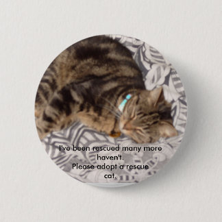 Please rescue a cat 6 cm round badge