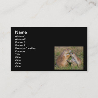 Please Stop Talking Business Card
