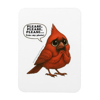 Please Take My Photo Funny Cardinal Bird Magnet