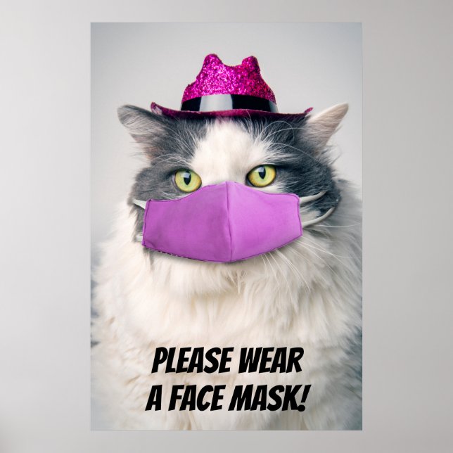 Please Wear a Face Mask Cute Cat Poster (Front)