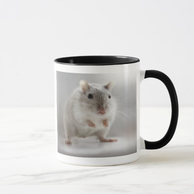 PLEASED TO MEET YOU MUG (Right)