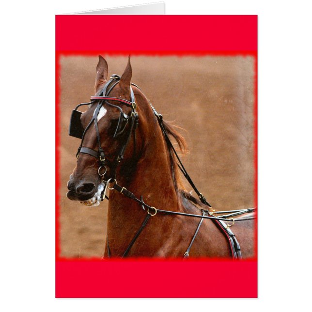 Pleasure Harness Saddlebred Digital Art Red Border (Front)