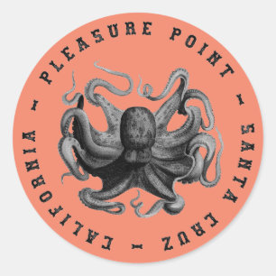Pleasure Point, Santa Cruz Octopus Classic Round Sticker