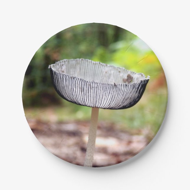 Pleated Inkcap Mushroom Paper Plates (Front)