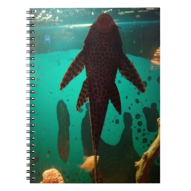 Pleco Spiral Notebook (Front)