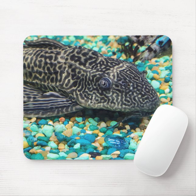 Plecostomus On Gravel Mouse Pad (With Mouse)