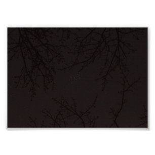 Pleiades (M45) Photo Print