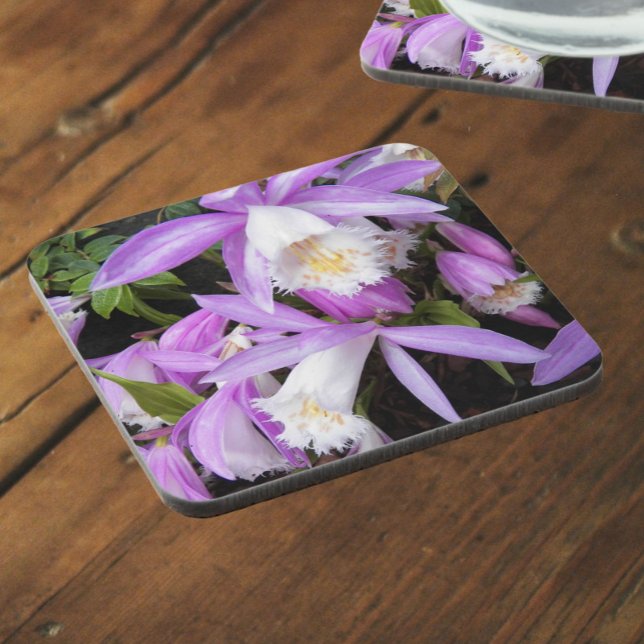 Pleione Windowsill Orchids Floral Coaster (In Situ)