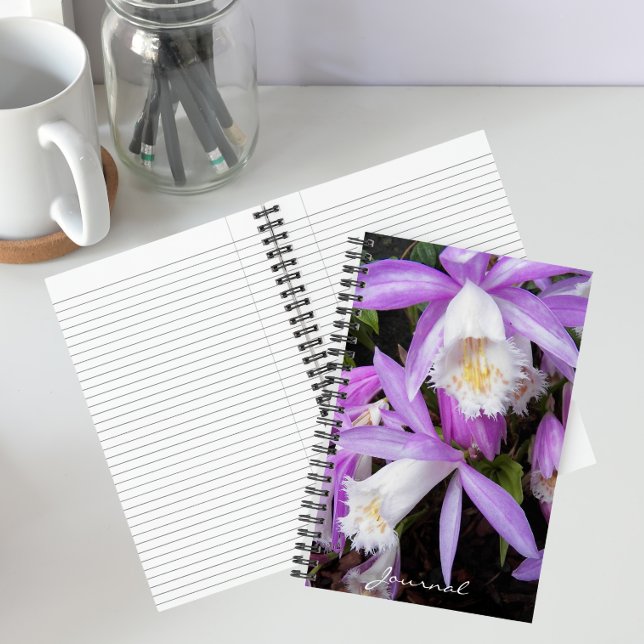 Pleione Windowsill Orchids Floral Notebook (In Situ)