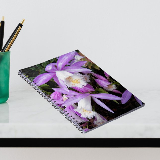 Pleione Windowsill Orchids Floral Notebook (In Situ)