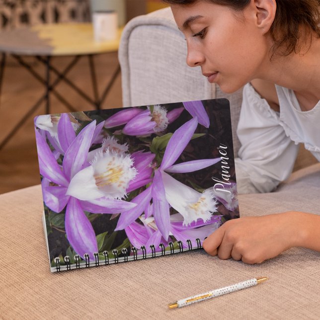 Pleione Windowsill Orchids Floral Planner (In Situ)