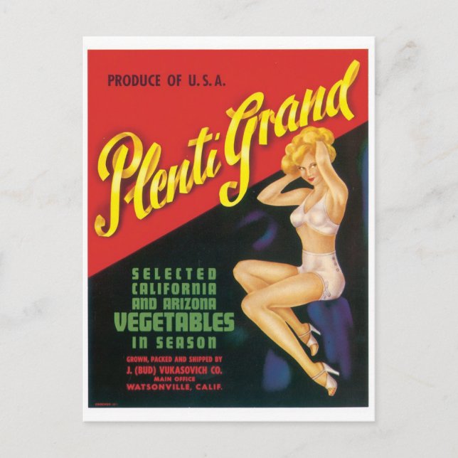 Plenti Grand Watsonville California Arizona Pinup Postcard (Front)