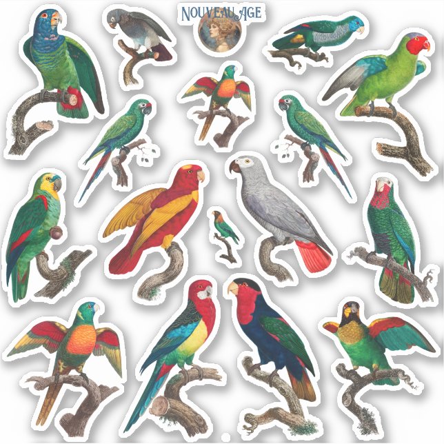 Plenty of Parrots Colourful Birds Sticker Sheet (Front)